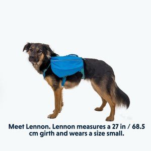 Ruffwear Approach Dog Backpack Medium